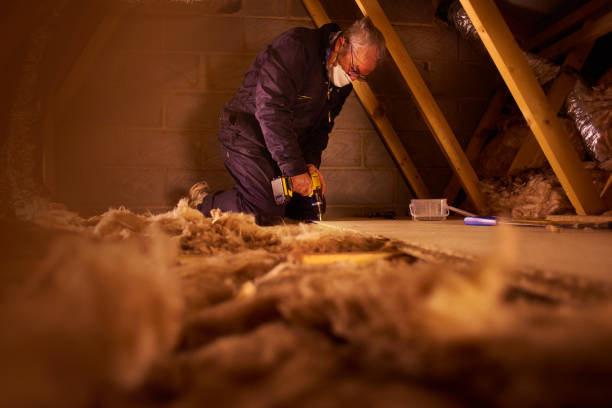 Best Insulation Installation Services in Lovejoy, GA