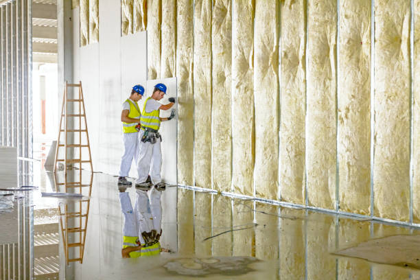 Best Commercial Insulation in Lovejoy, GA